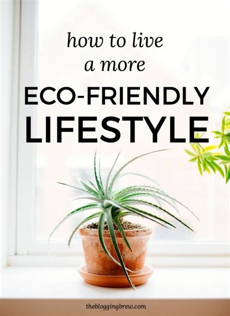 How To Live A More Eco Friendly Lifestyle The Blogging Brew Eco