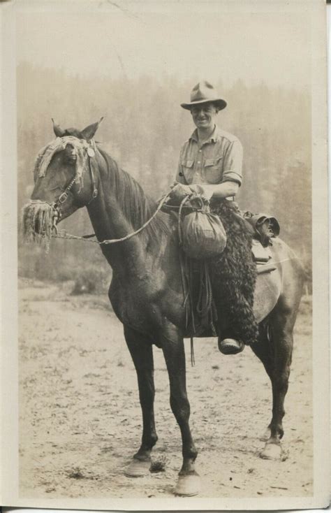 Pin By Carlos Haché On American Old West Wild West Animals Horses