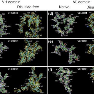 Electron Density Maps Of Vh And Vl Cdrs Views Of Vh And Vl Cdr