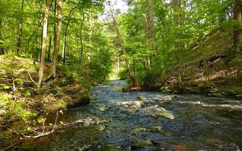 Cherry Valley National Wildlife Refuge - PoconoGo