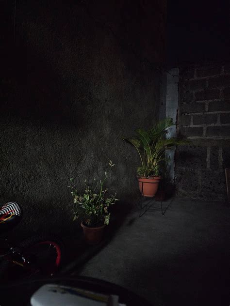 New Samsung Galaxy S23 Ultra Night Mode camera samples pop up - PhoneArena