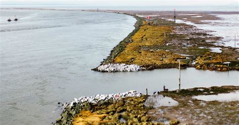 100 years later: Reconnecting the Fraser River with its estuary | Raincoast