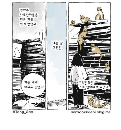 고양이 8마리와 함께 사는 만화 manhwa