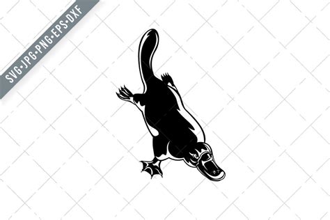 Duck Billed Platypus Graphic By Patrimonio · Creative Fabrica