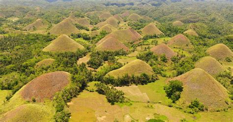 ボホール島の絶景チョコレートヒルズの楽しみ方を徹底解説 セブトラマガジン