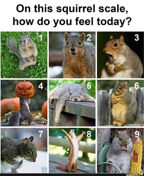 6 How Are You Feeling Today Chart Meme New