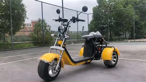 3 Wheel Electric Scooter Adult Citycoco Scooters Eec Coc Europe