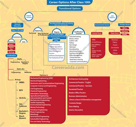 Career Options After 10th Class Choose Best Stream Of Interest For