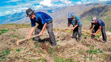 Día del Campesino entre promesas y retos