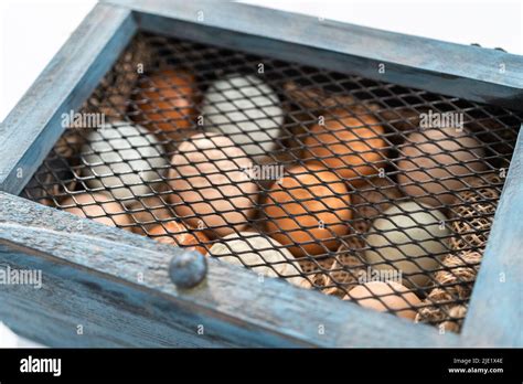 Farm fresh organic eggs in a vintage egg crate Stock Photo - Alamy