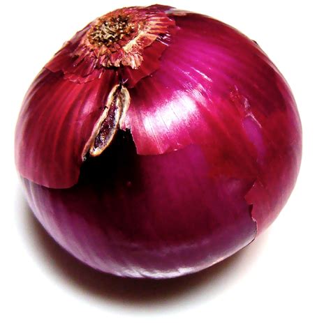 File Whole Onion