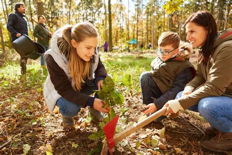 Mother and Children Planting a Tree Together in the Forest Stock Photo ...