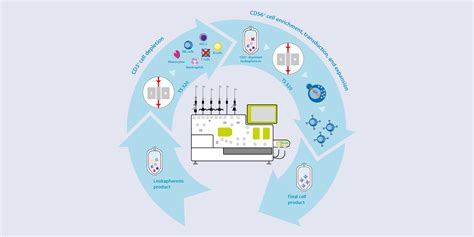 Car Engineered Nk Cells Using Viral Vectors Miltenyi Biotec 대한민국