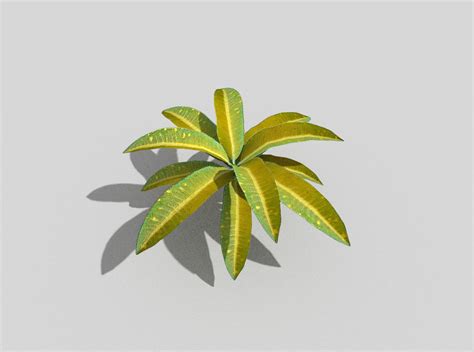 3d Model Low Poly Tropical Foliage Vr Ar Low Poly Cgtrader