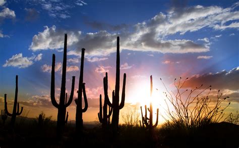 Gold Canyon Arizona | GoldCanyon.info – Information About Gold Canyon AZ