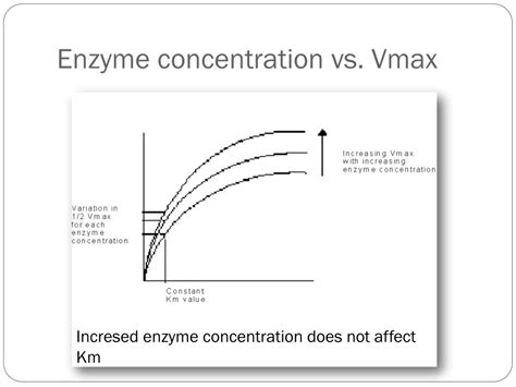 enzymes powerpoint    id