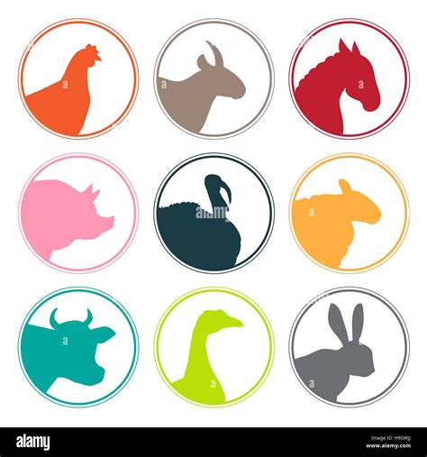 Set Of Farm Animals Logo Vector Isolated On The White Background Stock