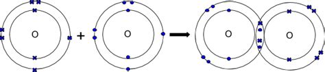 Oxygen Covalent Bond