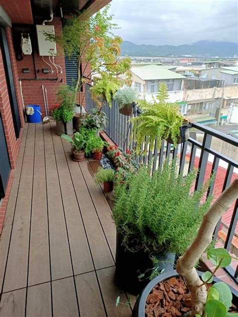 中山北路黃公館 陽台規劃 綠堤園藝 台北 盆栽盆景綠化植物租賃出租，陽台綠化規劃，台北陽台造景，台北花台設計，花台設計，店面景觀設計，綠化庭園，室內盆栽，生態水族箱，戶外景觀設計