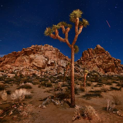 Jumbo Rocks Joshua Tree Day Use Parking Leon Fryer