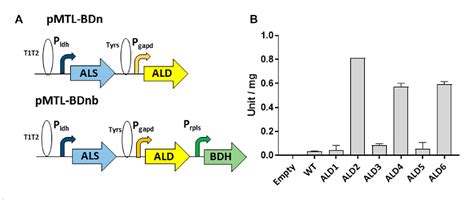 Figure 1 From Metabolic Engineering For The Production Of Acetoin And 2