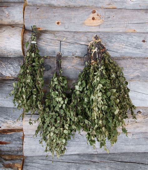 Bonding in a Bonding in a Belarusian Banya - The Travel Blog