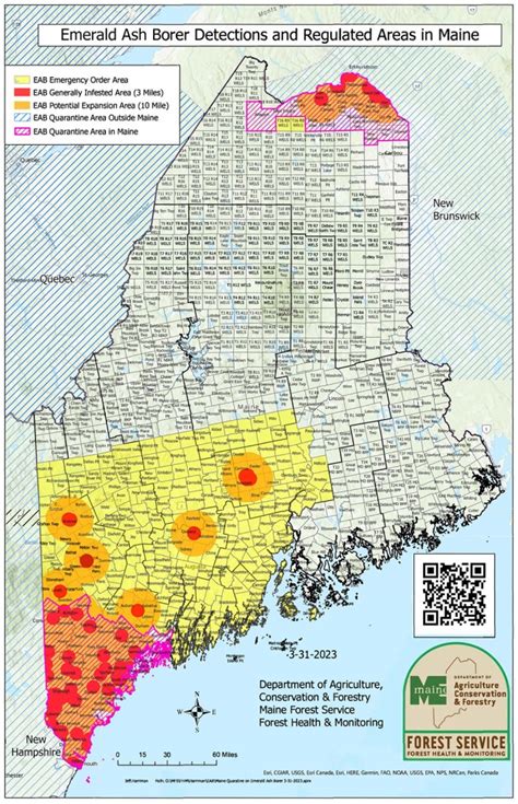 New Emergency Order As Invasive Emerald Ash Borer Continues Spread