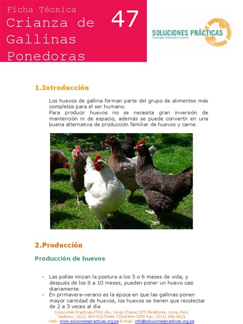 Pdf Crianza De Gallinas Ponedoras Dokumen Tips