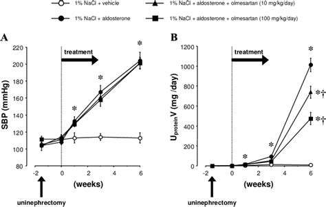 The Profiles Of Systolic Blood Pressure Sbp A And Urinary Protein