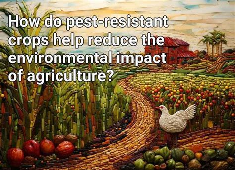 How Do Pest Resistant Crops Help Reduce The Environmental Impact Of