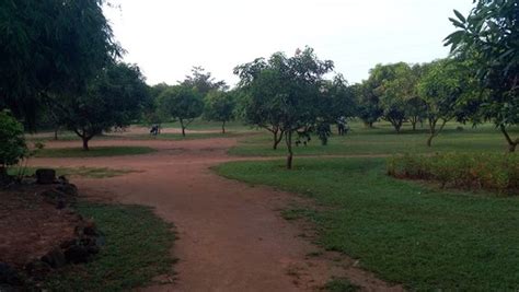 Buddha Jayanti Park Bhubaneswar Od