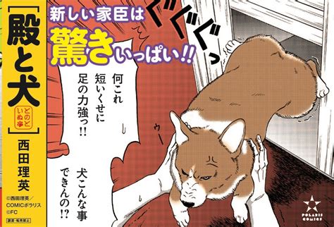 「江戸時代に武士と コーギーが出会う話、こと 『殿と犬とのといぬ』第①集 発売しました ️ 【書店特典】や購入は 」🐯コミックス①②巻発売