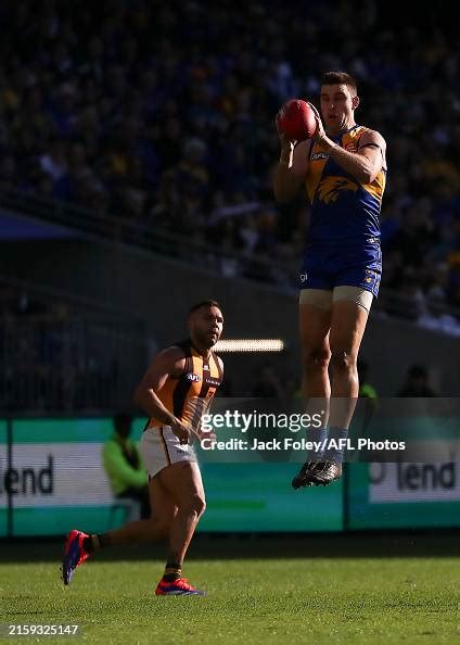 Elliot Yeo Of The Eagles Takes A Mark During The 2024 Afl Round 16