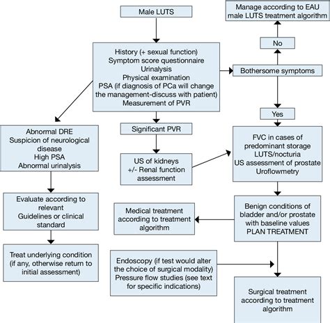 Management Of Non Neurogenic Male Lower Urinary Tract Symptoms Luts