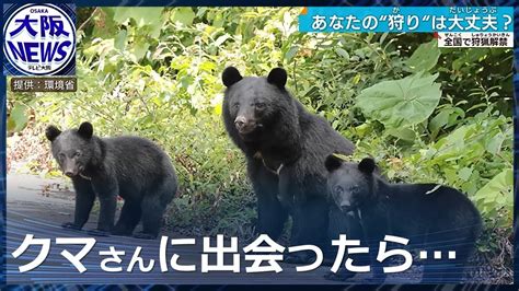 【クマ出没注意】なぜ人里に？遭遇したらどうする？詳しく解説 Youtube