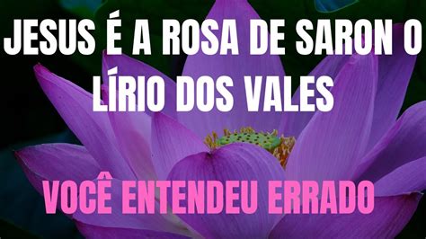 Jesus A Rosa De Saron O L Rio Dos Vales Voc Entendeu Errado