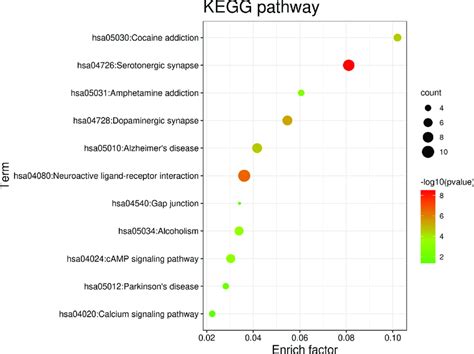 Enrichment Analyses For Constituents Ad Pd Common Targets Kegg