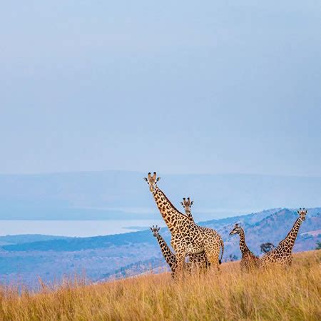 Akagera National Park Across Wilderness Expedition