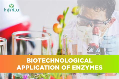 Applications Of Enzymes In Biotechnology Infinita Biotech