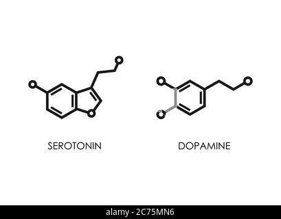 Serotonin Molecular Structure Neurotransmitter Molecule Skeletal