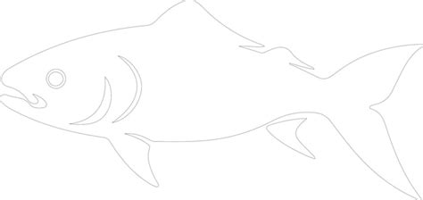 Cómo dibujar una ballena paso a paso foto Vector Premium