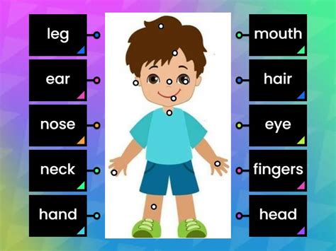 name parts of the body - Labelled diagram