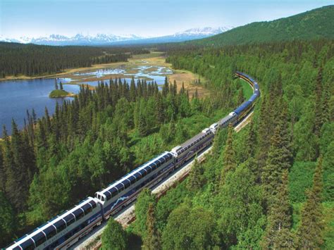 Alaska Cruise And Denali National Park Glen Travel