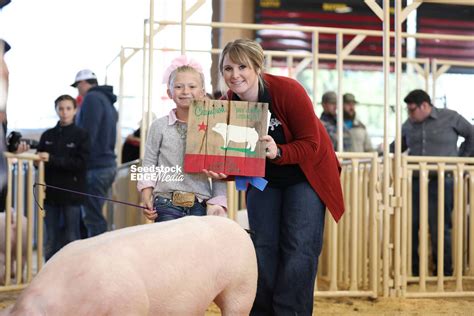 Western Regional Landrace Gilt Show National Swine Registry