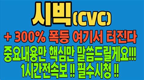 시빅 시빅코인 Cvc 코인 코인전망 비트코인 이더리움 도지코인 Youtube