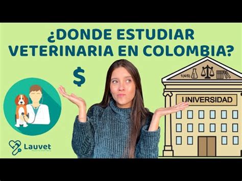 Donde Estudiar Auxiliar De Veterinaria En Bogot Auxiliarclinica Es