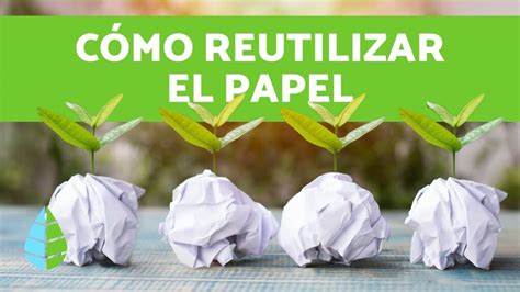 Descubre Cu Nto Tarda El Papel En Degradarse Y Toma Conciencia Sobre