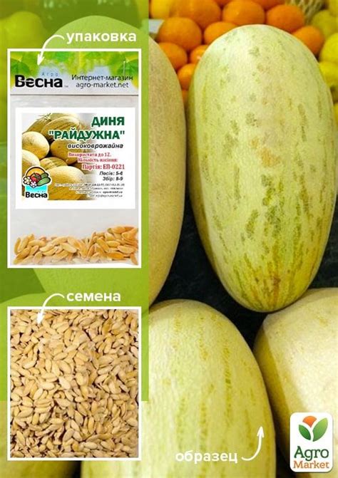 Диня "Райдужна" (Зипер) ТМ "Весна" 3г купити поштою в Одесі, Києві ...