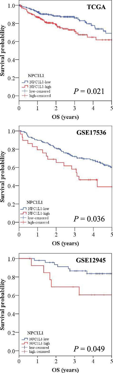 Kaplan Meier Survival Analysis Based On The Expression Level Of Npc1l1 Download Scientific