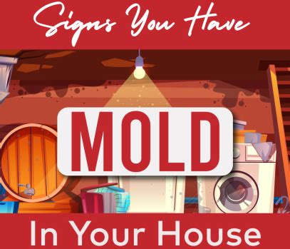 Signs You Have Mold In Your House - Whole House Home Inspections